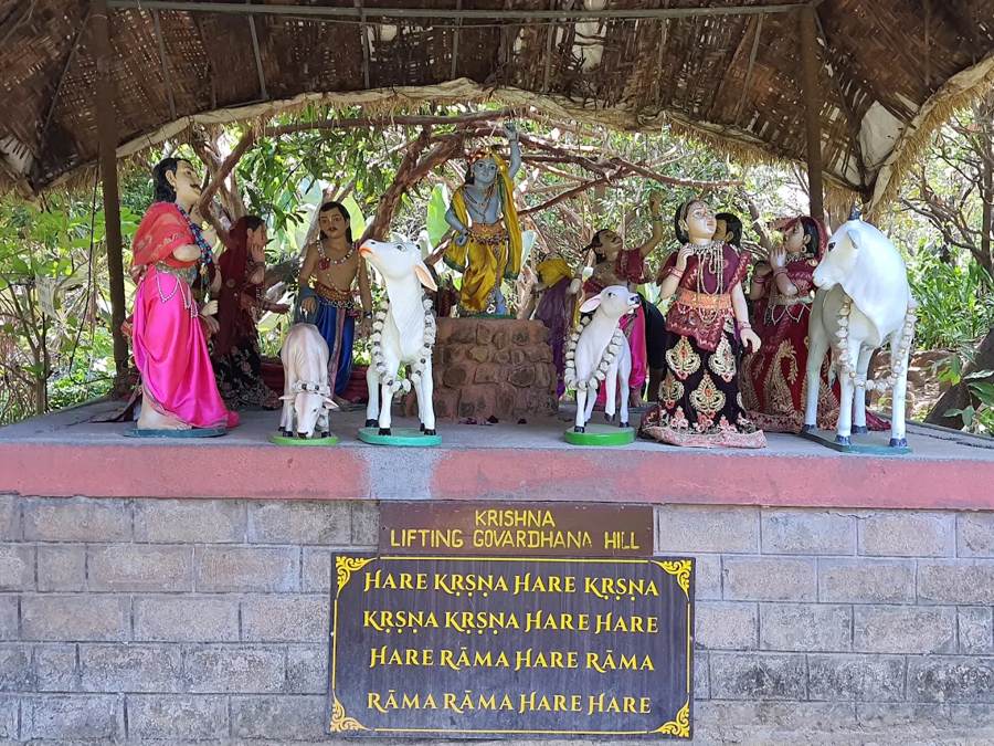 Govardhan Hill, Govardhan Eco Village